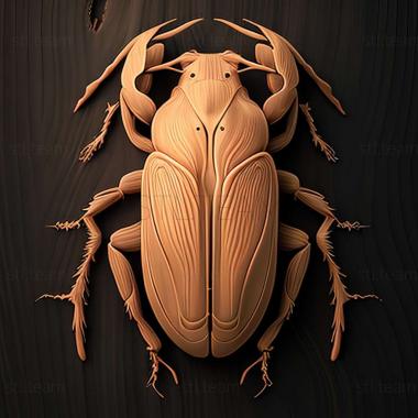 3D model Hypselosoma hypselosomatum (STL)